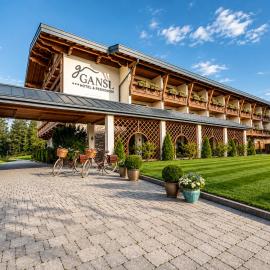 contactless Self-Check-IN - Zell am See Apartments, hotel i Saalfelden am Steinernen Meer
