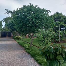 Laker's barn, hotel in Gulu