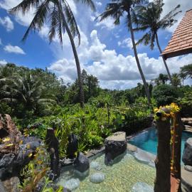 Royal Kemani Unique Villa - Ubud Country Side, hotel in Bedahulu