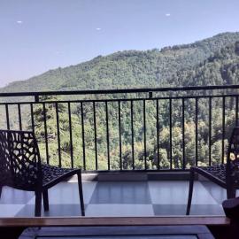 Hotel Summer Hill, hotel em Chail