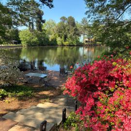 Lakefront Serenity