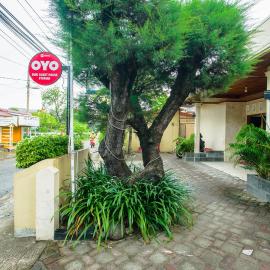 Capital O 90643 Suri Guest House Syariah