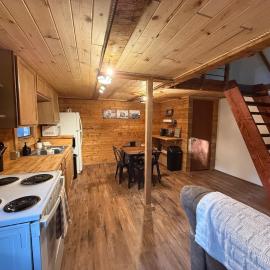 Little Dry Cabin #3، فندق في فيربانكس
