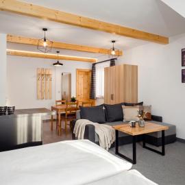 Golden Apartments - Villa Taternik - Mountain View