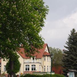 Villa am Oberpfuhl, hotel di Lychen
