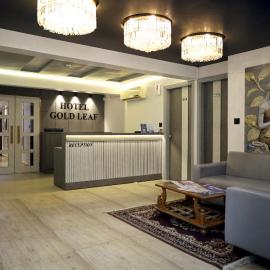 HOTEL GOLD LEAF, hotel in Ahmedabad