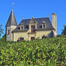 Domaine Lainault - Chambre Jasnières