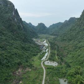 Ninh Binh Golden Camellia Park