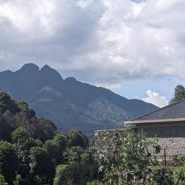 Ubucuti Gorilla Lodge, Hotel in Kinigi