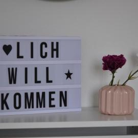 Ferien auf dem Land - Ferienwohnung Schultenhof