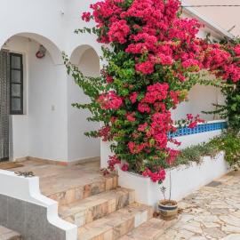 Quinta do Coala - Spacious Countryside Orchard House & Cottage, 10 min from Lagos