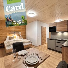 Alpin Studio Schladming 203