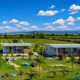 Árta में, होटल Agroktima Arta - Farm Stay
