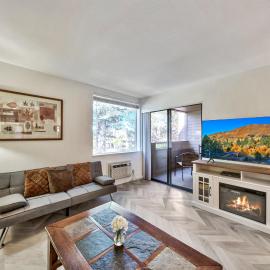 Lakeland Village #223 - Adventure Ready Remodel