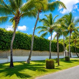 Miara - Celebrity villa in Casa de Campo!