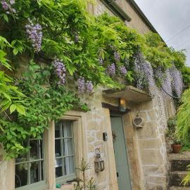 Lamb Cottage Bed and Breakfast, hotel u gradu Box
