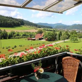 Apartment Ahorn im Schwarzwald