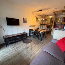 OURS BLANC 11 - Studio belle vue montagnes, proche espace aquatique