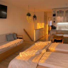 Ferienapartment TESLA im Wellnesshotel - Bayerischer Wald, hotel v mestu Sankt Englmar
