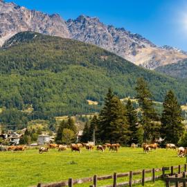 Finestra dell'Adda - casetta con giardino