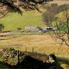 The Sheep Barn
