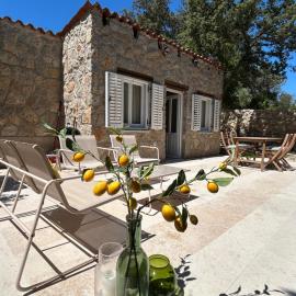 Stone house Vert, Hotel in Sveti Jakov