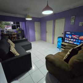 Apartment with its own 100-inch cinema