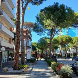 CV010 - Cervia, quadrilocale con terrazzo in centro, hotel in Milano Marittima