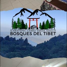 Bosques del Tibet