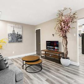 Morganford Strip 1BR Full Kitchen Free Parking Pets Any Size