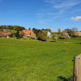 Landliebe, Hotel in Blomberg