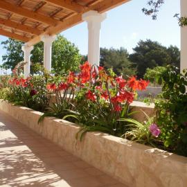 Finca Blanca Formentera, hotel in Sant Francesc Xavier