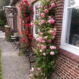 Altes Pastorenhaus Ihlienworth - 2