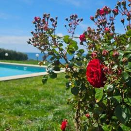 Blue Horizon Suite - Villa Mide