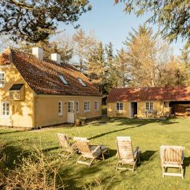 Wrapped In Woodland Peace In Denmark