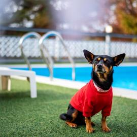 Chuncheon Happysday Pet-Friendly Pension, hotel en Chuncheon