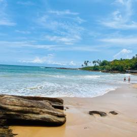 Eden Reverie Wellness Stay
