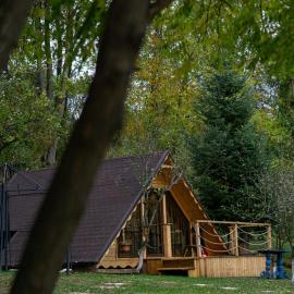 Casa Matteo & Camping, hotel en Albestii de Arges