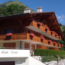 Le Chalet Rosat Apartment 25, hotel u gradu Chateau-d'Oex