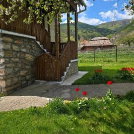 La Umbra Muntilor Traditional House, hotell sihtkohas Ocoliş