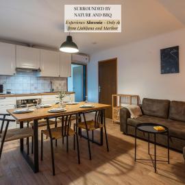Apartments Orel, hotel i Mozirje
