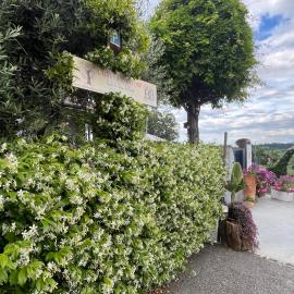 B&B L'Albero Di Antonia: Atri'de bir otel