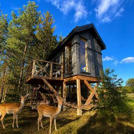 Viking Treehouse with Hot Tub, Sauna, Lake & Deer Park, hotel a Līči