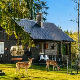 Lake Deer Park Retreat with Hot Tub & Sauna, hotel u gradu Talsi