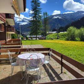 샤텔에 위치한 호텔 Chatel pied des pistes