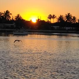 party like a local – hotel w mieście Key West