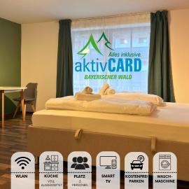 Designapartment Zwiesel Pool Sauna AktivCard Balkon Bayerischer Wald, hotel sa Zwiesel