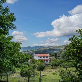 Casa da Pedrada