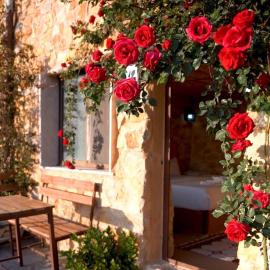 Dana Trail Hotel, hotel em Dana