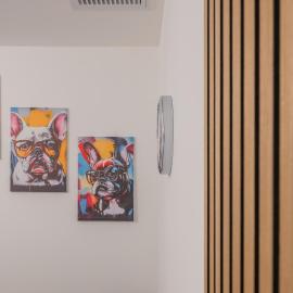 Bulldog Home Bergamo